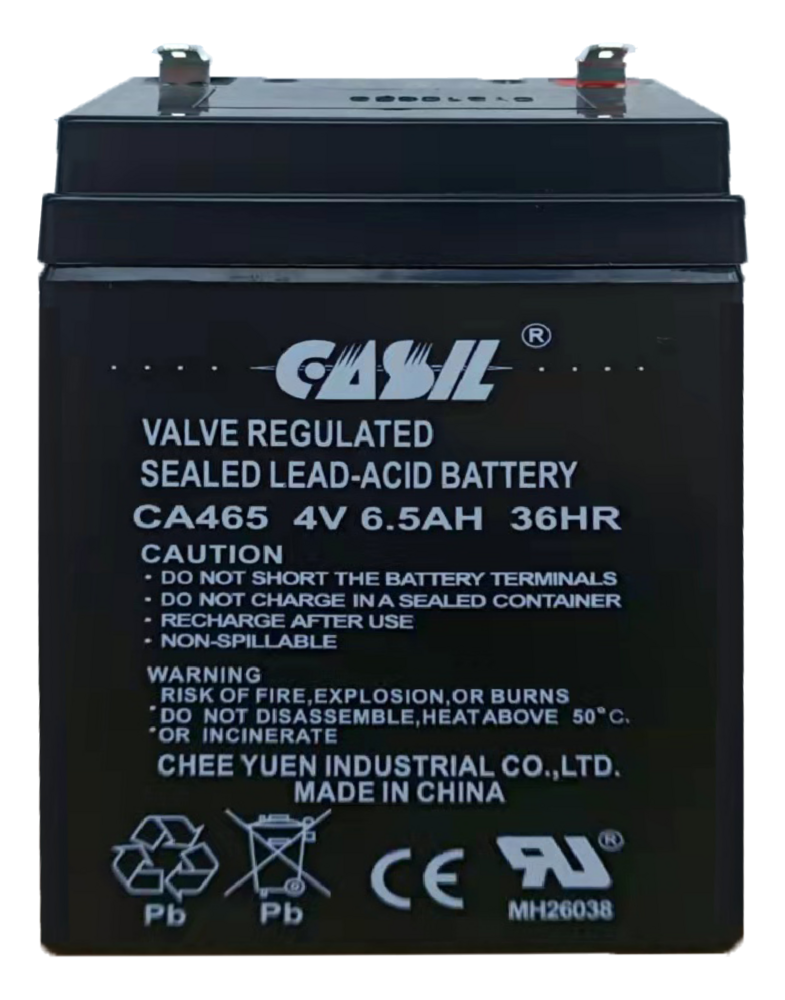 Accessoire PROBOX : Batterie 4 V, 8 600 mAh pour centrale ProSeries