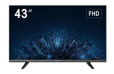 Moniteur 43" HDMI VGA VESA support inclus